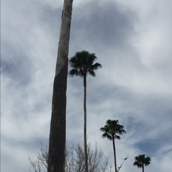 Meet your Posher, Beth - Picture 1 of 1